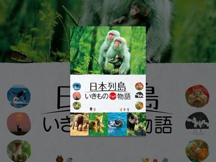 động vật hoang dã